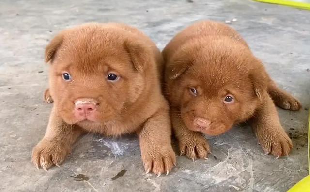 20221107181242_52418