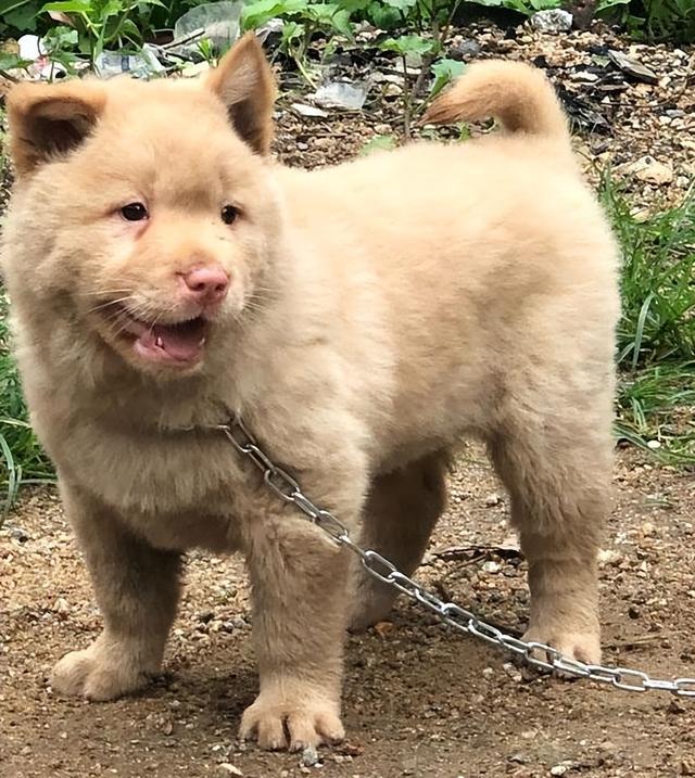 20221107181242_57741