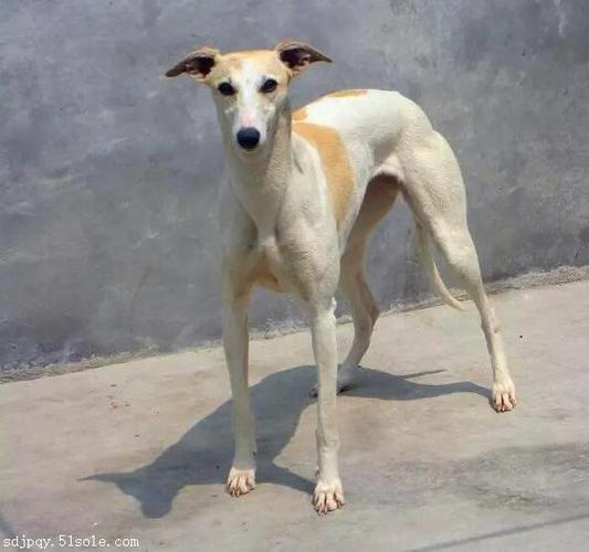 20221107181805_60612