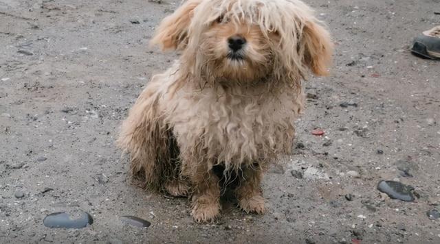 20221107181828_57234