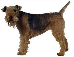 20221107182845_39047