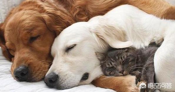 20221107182916_31117 20221107182916_31117