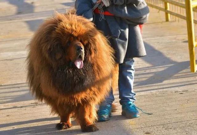 20221108083406_91015 20221108083406_91015