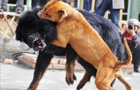 20221108083407_82781 20221108083407_82781