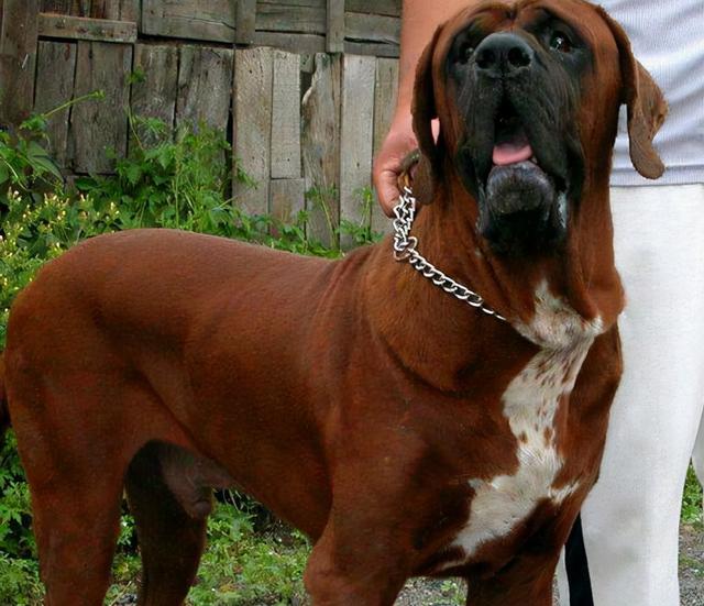 20221108083806_68160 20221108083806_68160