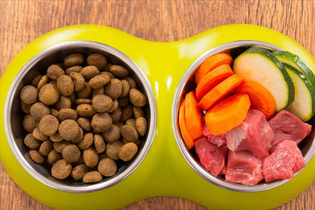 20221108083808_14779 20221108083808_14779