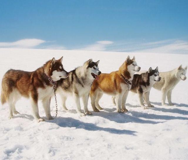 20221108084127_13238