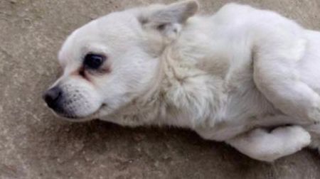 20221108084721_38981 20221108084721_38981