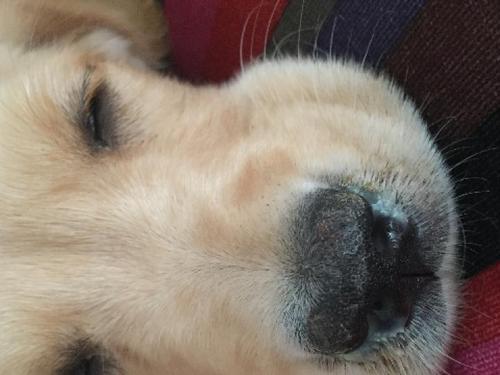 20221108084721_45796 20221108084721_45796