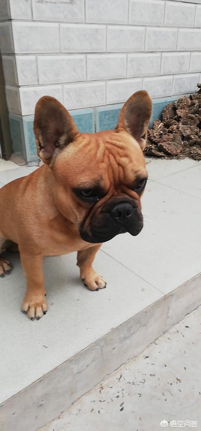 20221108090642_66898 20221108090642_66898