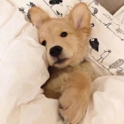 20221108091240_70228 20221108091240_70228