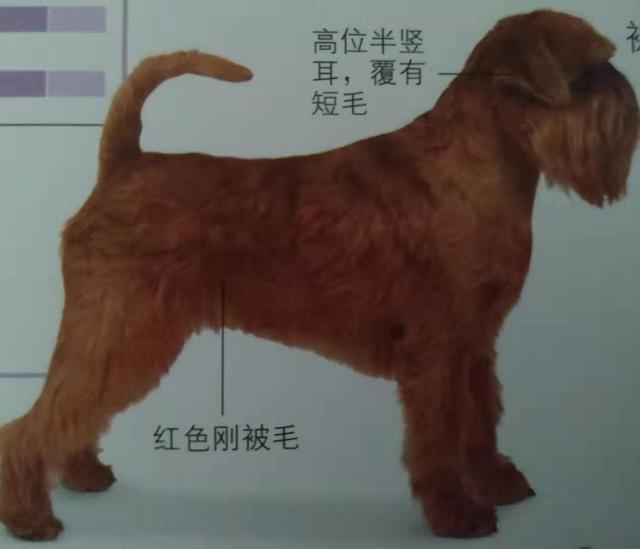 20221108092305_59252