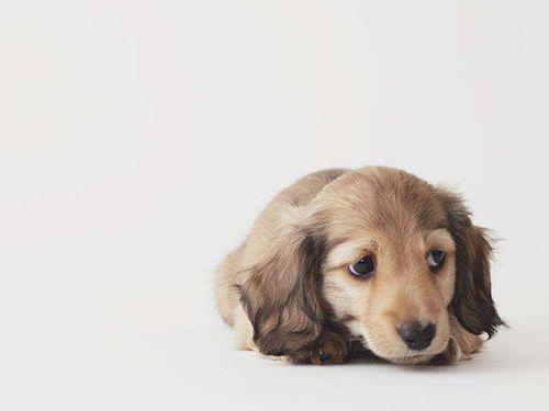 20221108092359_86111 20221108092359_86111