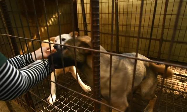 20221108092621_73057