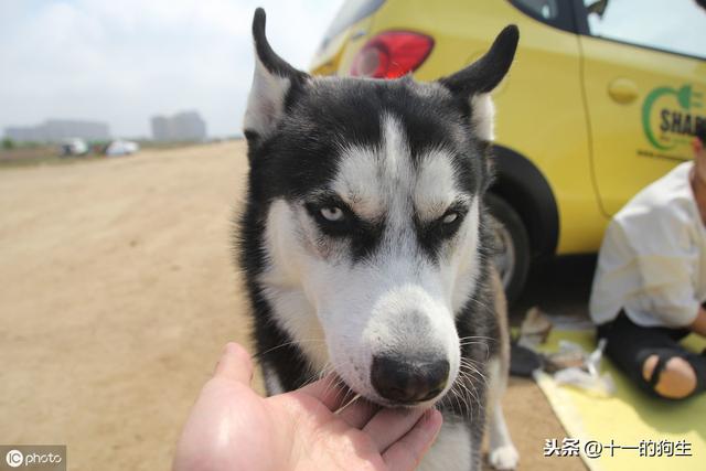 20221108100022_96129