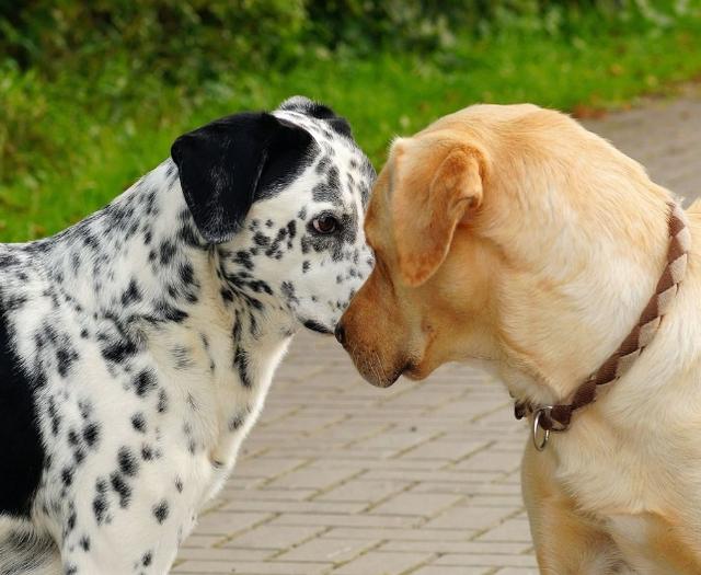 20221108100942_84487 20221108100942_84487