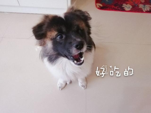 20221108101203_63912