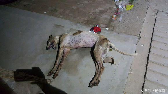 20221108111553_87167