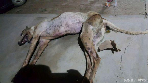 20221108111554_57011