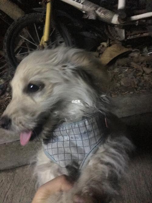 20221108111740_56186