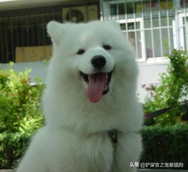 20221108112333_47161 20221108112333_47161