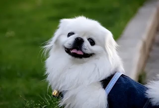 20221108115237_52094