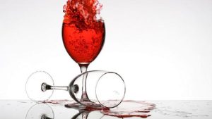 茶杯犬寿命多长mdash【宠物圈】-警犬训练器材厂家 _警犬训练用品_工作犬训练用品-南京开久警犬装备