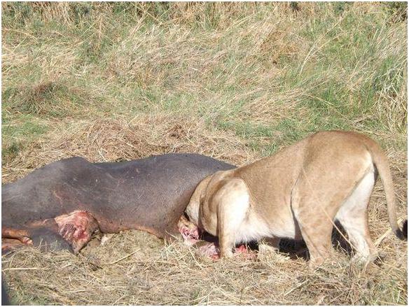 20221108123012_48001 20221108123012_48001