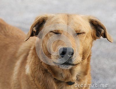 20221108123710_14012 20221108123710_14012