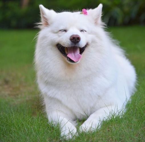 20221108123710_90556 20221108123710_90556