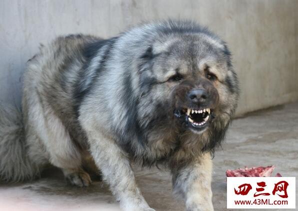 20221108123921_26334