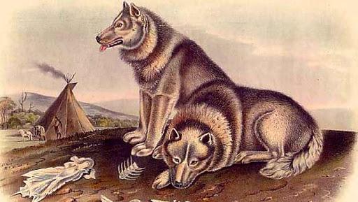 20221108124717_76991 20221108124717_76991