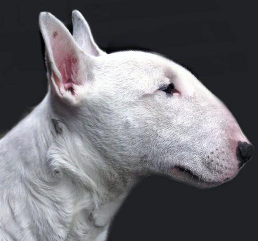 20221108124718_98955 20221108124718_98955