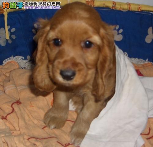 20221108125335_85163 20221108125335_85163