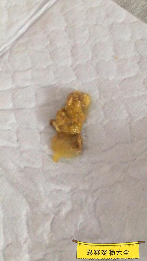 20221108125906_86228 20221108125906_86228