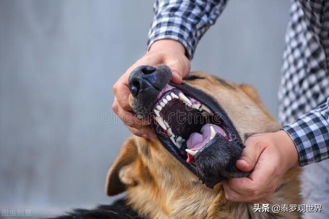 20221108132340_58745