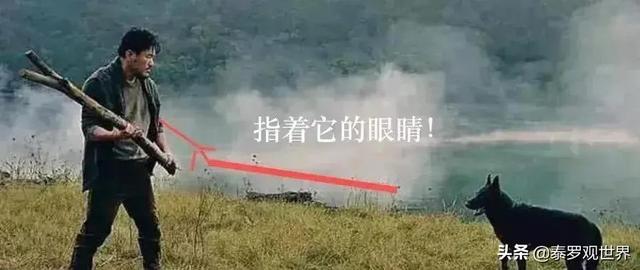 不让狗狗进卧室它挠门怎么办 - 警犬训练器材厂家 _警犬训练用品_工作犬训练用品-南京开久警犬装备-警犬训练器材厂家 _警犬训练用品_工作犬训练用品-南京开久警犬装备