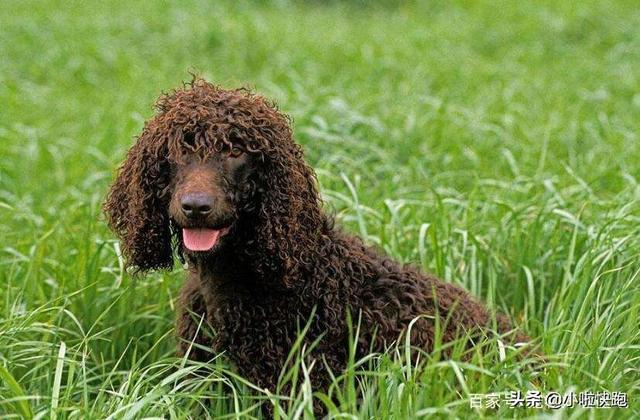 20221108132527_54481 20221108132527_54481