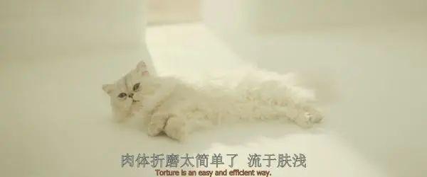 20221108132757_68541