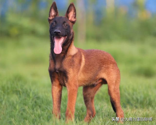 20221108133926_60167