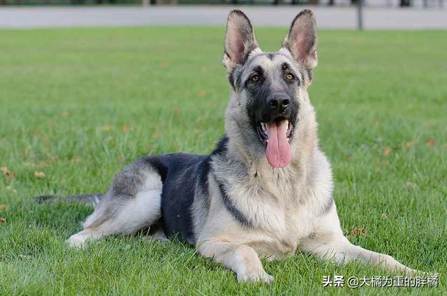 20221108133926_76693