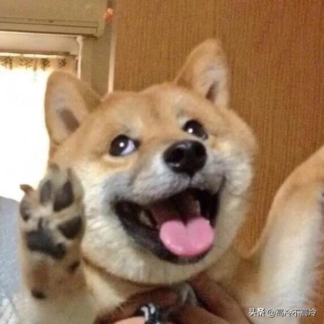 20221108134916_99904