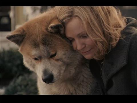 忠犬八公是什么品种萌宠(忠犬八公里面的狗是什么品种) - 警犬训练器材厂家 _警犬训练用品_工作犬训练用品-南京开久警犬装备-警犬训练器材厂家 _警犬训练用品_工作犬训练用品-南京开久警犬装备