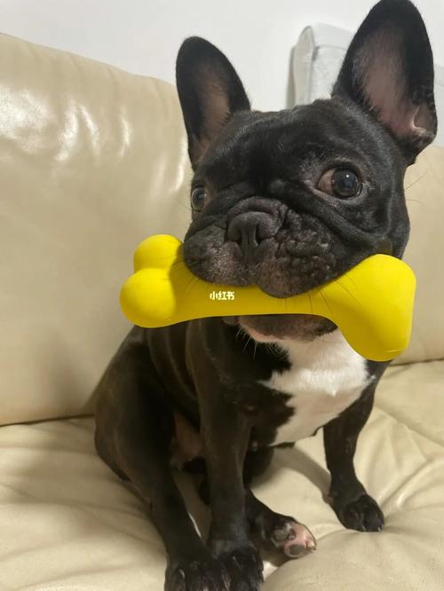 20221108135330_11403 20221108135330_11403