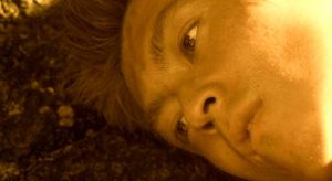 狗咬狗不松口什么原因(狗咬狗尾巴什么原因)-警犬训练器材厂家 _警犬训练用品_工作犬训练用品-南京开久警犬装备