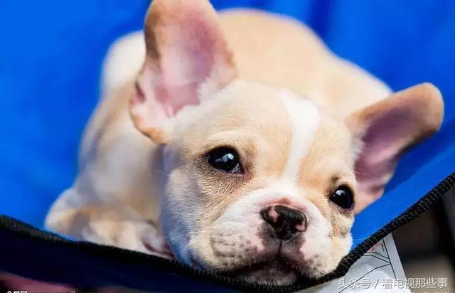 20221108135610_68973