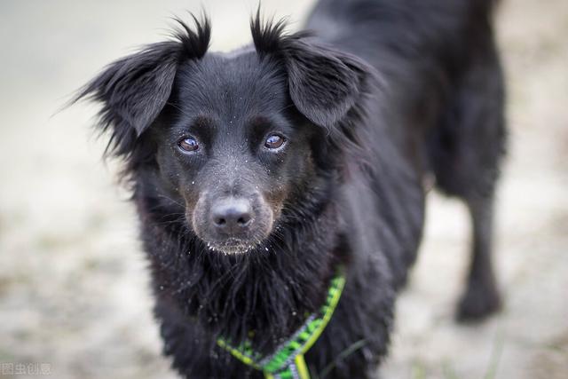 20221108142026_17133 20221108142026_17133