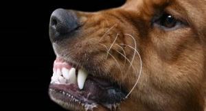 20221108142356_79398