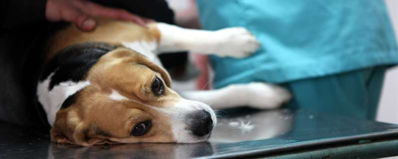 20221108142356_94181