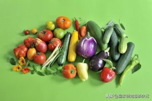 秋田犬可以吃哪些水果萌宠-警犬训练器材厂家 _警犬训练用品_工作犬训练用品-南京开久警犬装备